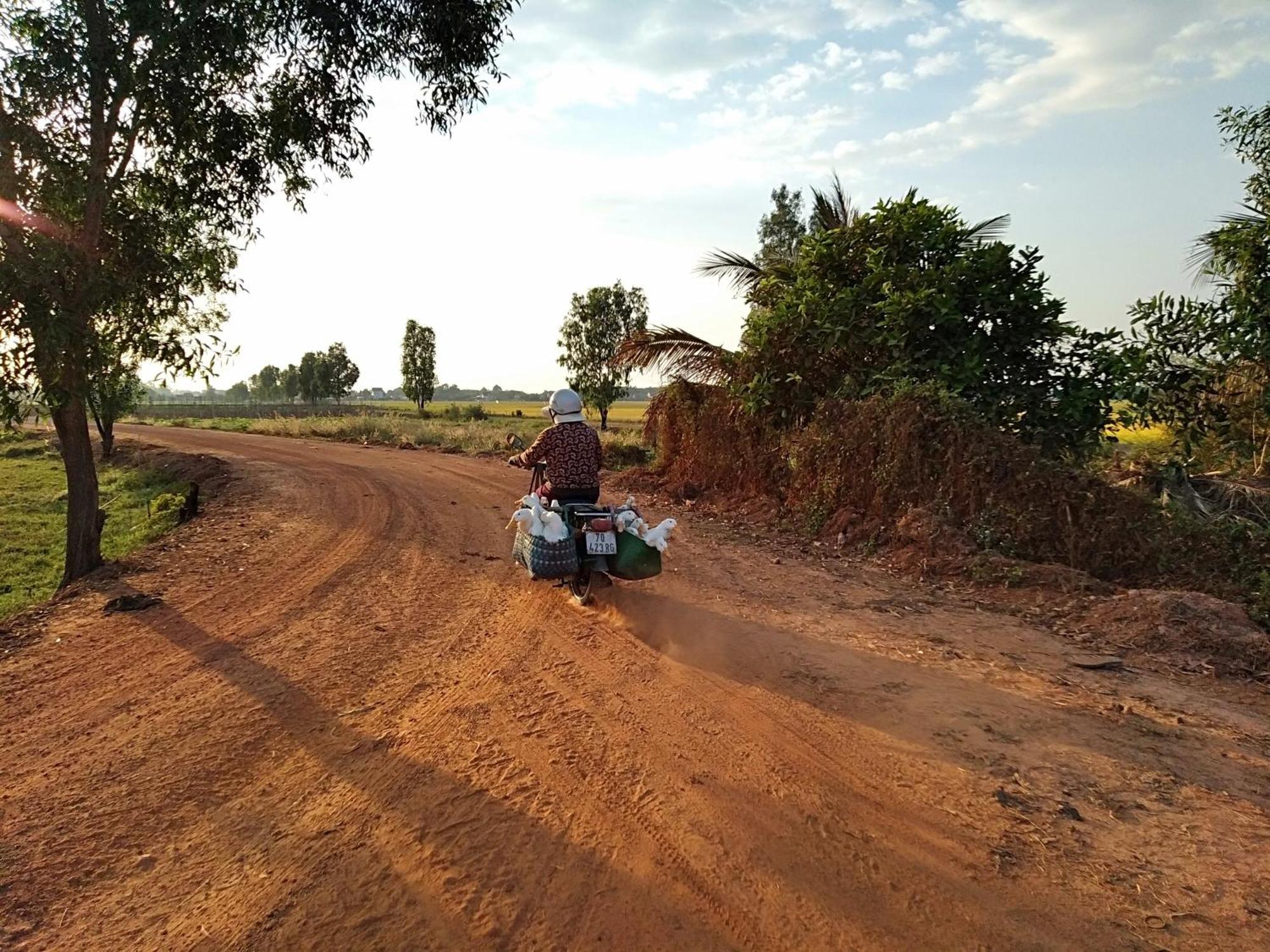 Homestay Lotus Retreat